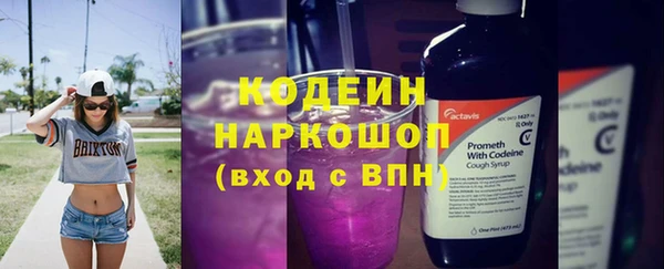 молекула духа Тихвин