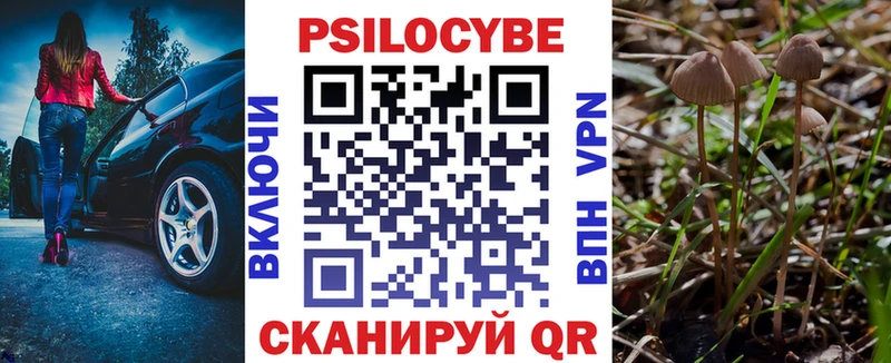 Галлюциногенные грибы Psilocybe Зеленоградск